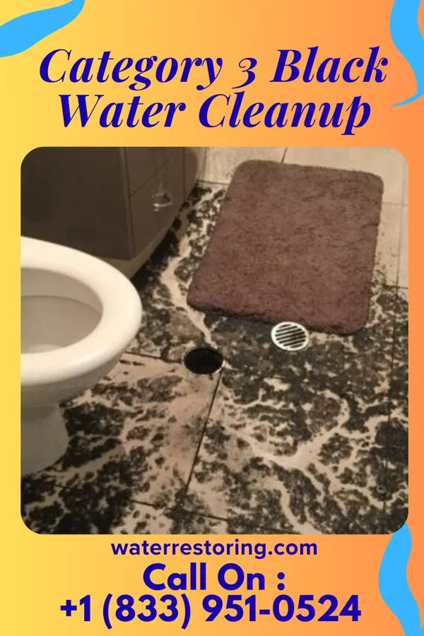 Category 3 Black Water Cleanup in Deerfield, KS